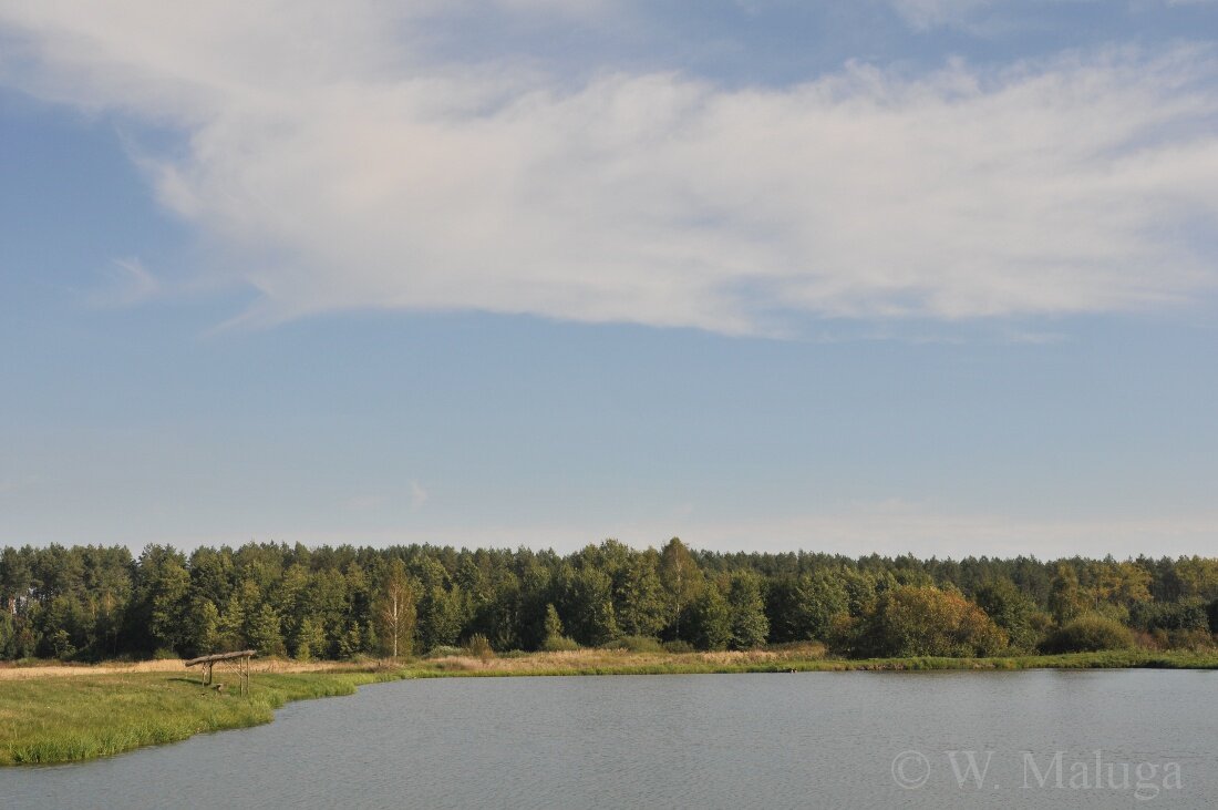 Polska Prowincja Komarów Osada